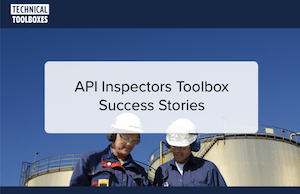 API Inspectors Toolbox Success Stories